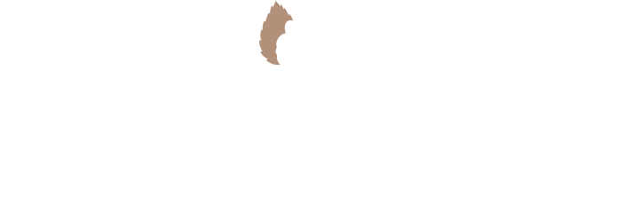 logo perche hotel de france tourouvre 1